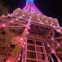 Scenic Views of the Parisian's Eiffel Tower