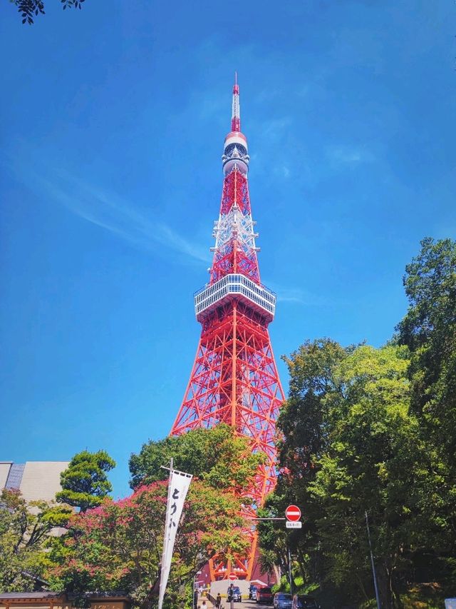 【東京塔】東京必打卡！市區這幾個位置看東京塔拍照最好看！