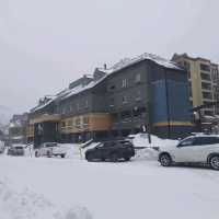 Trip fun at Breckenridge Town