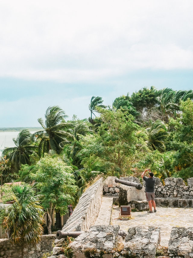 チルさが魅力！メキシコのバカラル🇲🇽🏝️