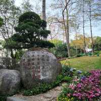 Yuexiu park 🏞 a place for relaxing and meditation❤️