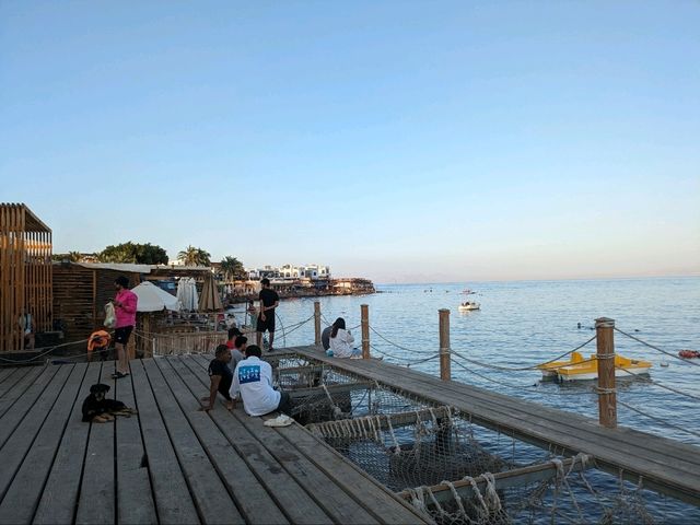 ダハブの海岸沿いのお店でチル