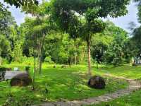 Feeling zen : Mcdonalds Ridout garden