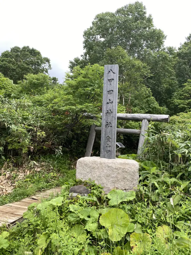 八甲田大岳登山！被大自然擁抱的暢快健行