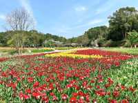 長沙園林生態園