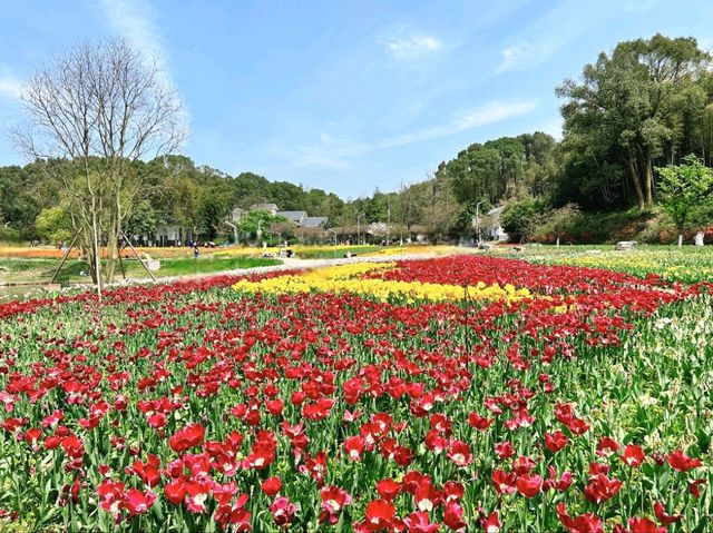 長沙園林生態園