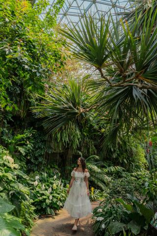 Missouri Botanical Garden: A Traveler-Friendly Look at the Full Experience