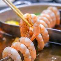 HELLO SHABU