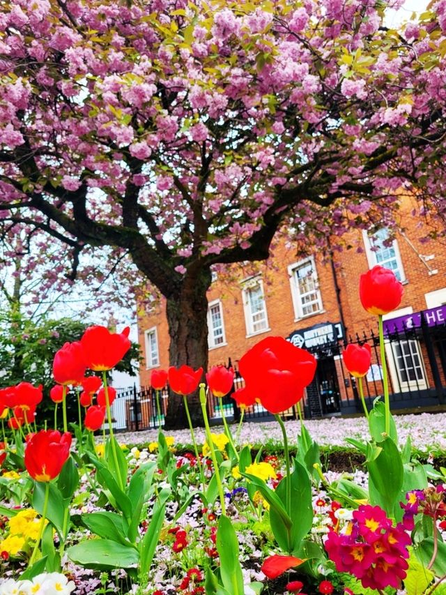 ❤西北部最幸福居住地之一🏠Bolton
