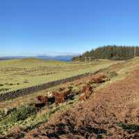Fairlie moor loop trail