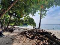 Serene Beach Bliss