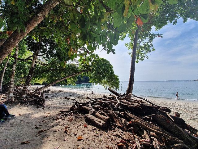 Serene Beach Bliss