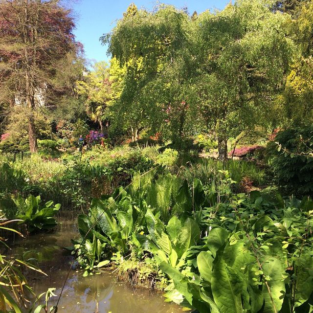 Manchester botanical gardens is so peaceful