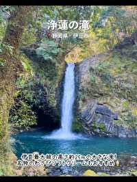 【静岡】伊豆のおすすめ観光スポット7選♨️
