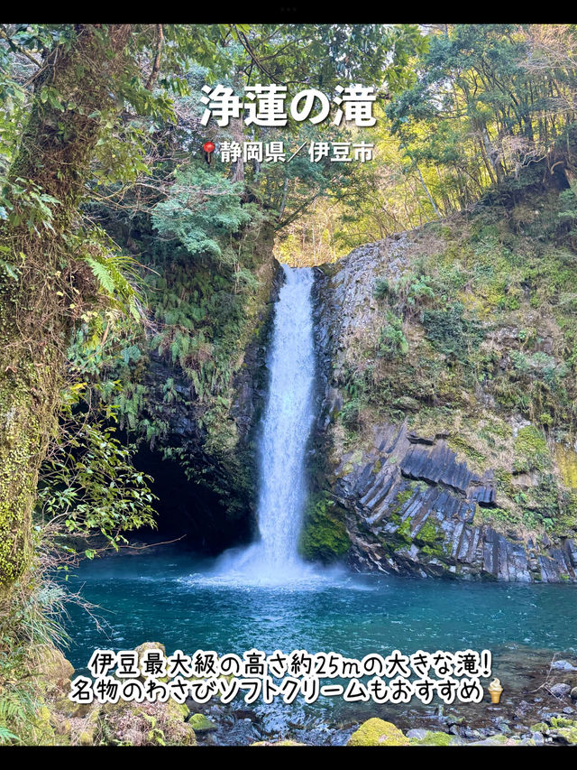 【静岡】伊豆のおすすめ観光スポット7選♨️