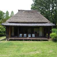Hattori Ryokuchi Park 🇯🇵