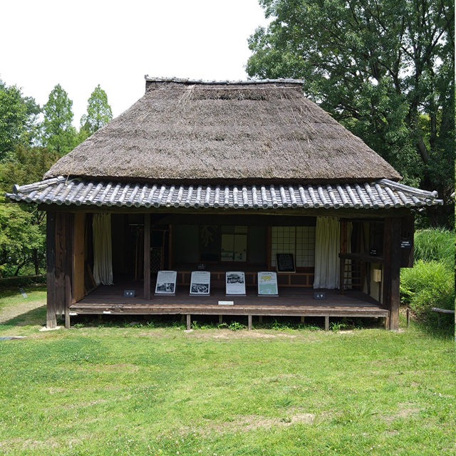 Hattori Ryokuchi Park 🇯🇵