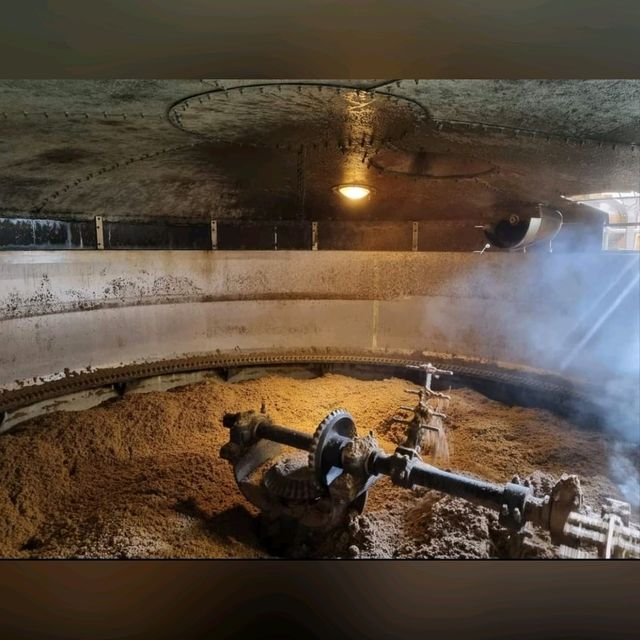 【蘇格蘭高地釀酒廠tour】威士忌製作之旅，限量版酒可買