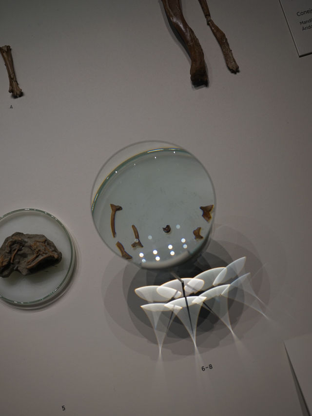 Madrid | Discover the archaeology in Madrid museum