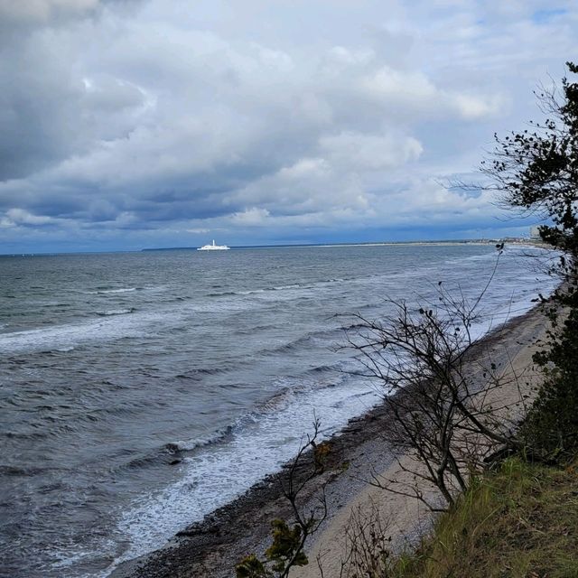 Long coastel forest healthy walks in Warnemuende