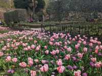 London - Fukushima Garden 🌹🌺