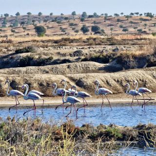 Ria Formosa Natural Park - Portugal
