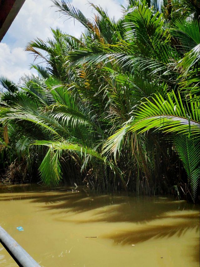 Vietnam Deltas