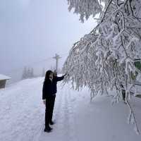 Bulgaria-Sofia-Vitosha Mountain 