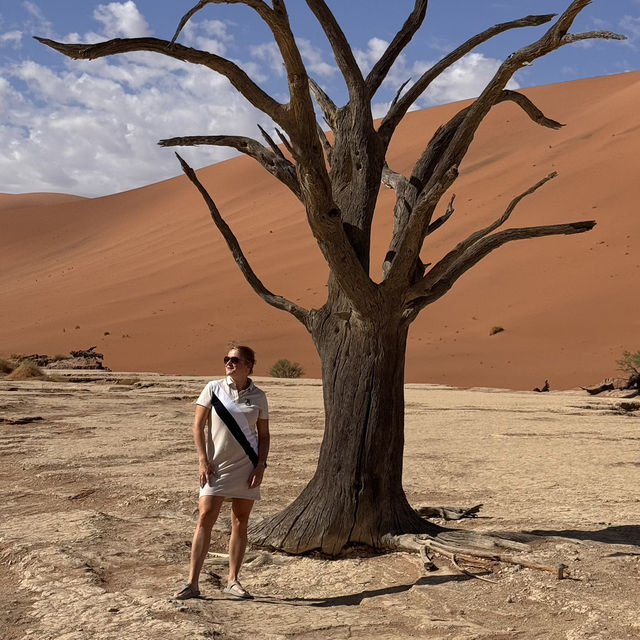 Namib desert