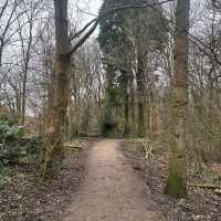 A walk around the hall