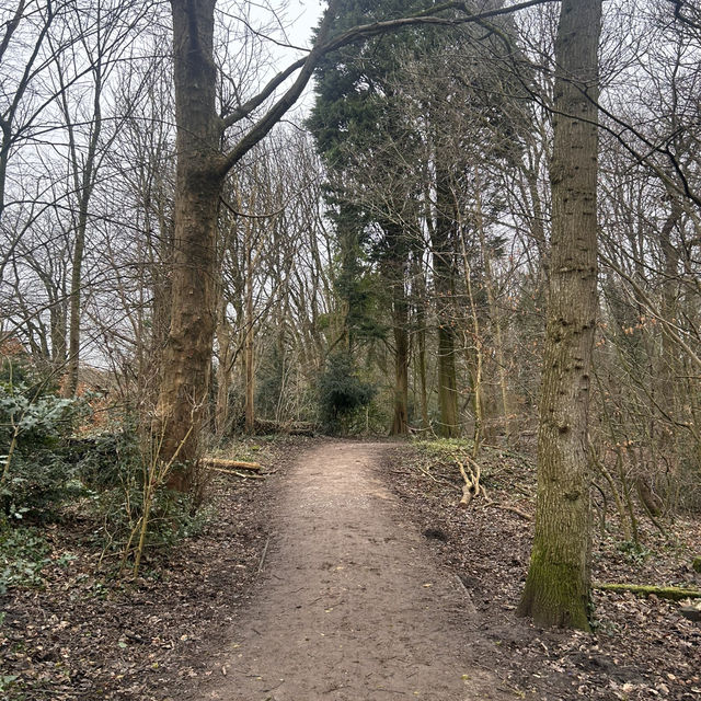 A walk around the hall