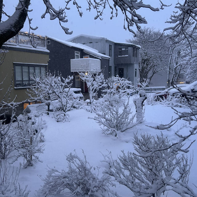 An evening in Reykjavík 