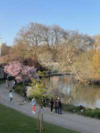Escape the City: Best Parks & Green Spaces in London 🌿✨