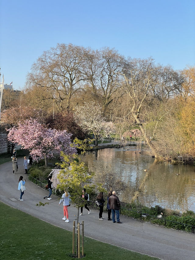 Escape the City: Best Parks & Green Spaces in London 🌿✨