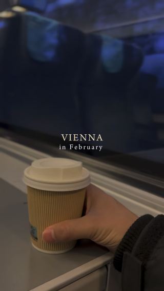 Vienna in 1 Day