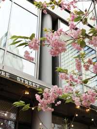 Spring in Manchester: A Blossom-Filled City Escape