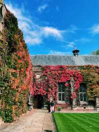 🌿 Lincoln & St John’s College: Two Oxford Gems Worth Exploring! 🌿