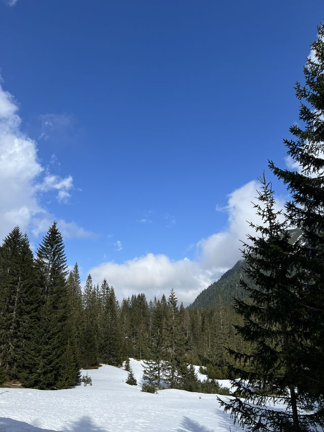 🇵🇱 波蘭札科帕內（Zakopane） 🏞️