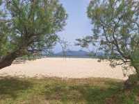 Majorca: cyclists' paradise