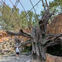 Beijing Wildlife Park from Daxing airport