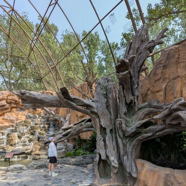 Beijing Wildlife Park from Daxing airport