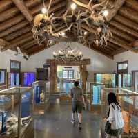 🛏️ Where to Stay When Visiting Yellowstone National Park 🏕️🐻