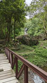 Temples, Nature & Cafés: Why Everyone Falls for Chiang Mai 🏯🌿☕