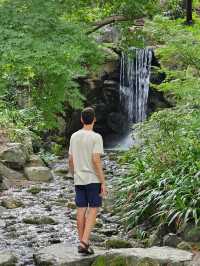 📅 Kyoto 3-Day Itinerary for First-Time Visitors