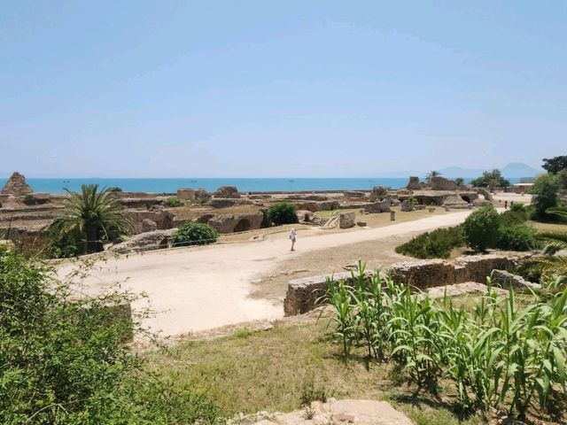 Carthage - Roman Ruins of Tunis,Tunisia