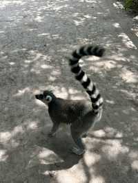 Best Europe Zoo in Belgium