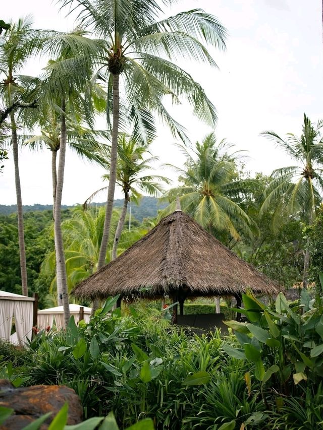🌿 Phulay Bay, a Ritz-Carlton Reserve – Where Silence Becomes Sacred