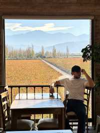 Why Mendoza Feels Like Europe’s Mediterranean But With Argentine Wine