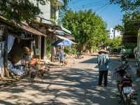 Discovering the Charm of Cai Be Village, Vietnam