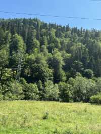 day out in Transylvania - Dracula’s castle, Brasov and Peleş castle